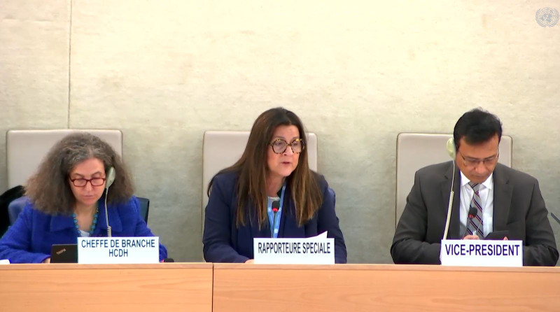 Prof. Dr. Dr. Lela Janashvili presented a report during an interactive dialogue with the Special Rapporteur on the right to privacy at the 58th session of the UN Human Rights Council (HRC) in Geneva